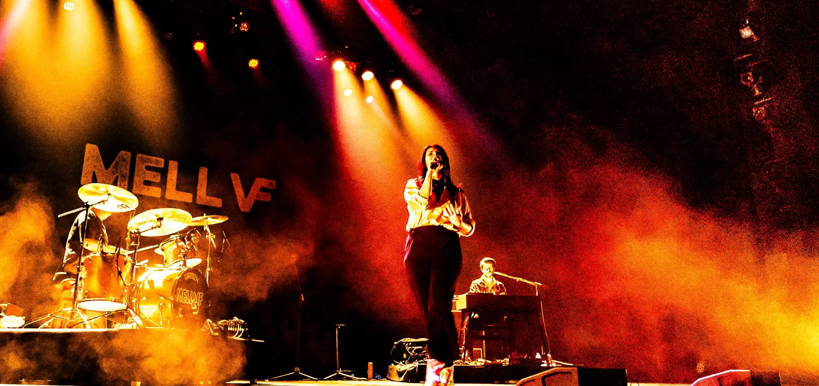 echoesofmymindtour.jpg